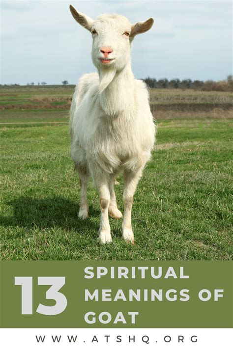 goat meaning god of all things